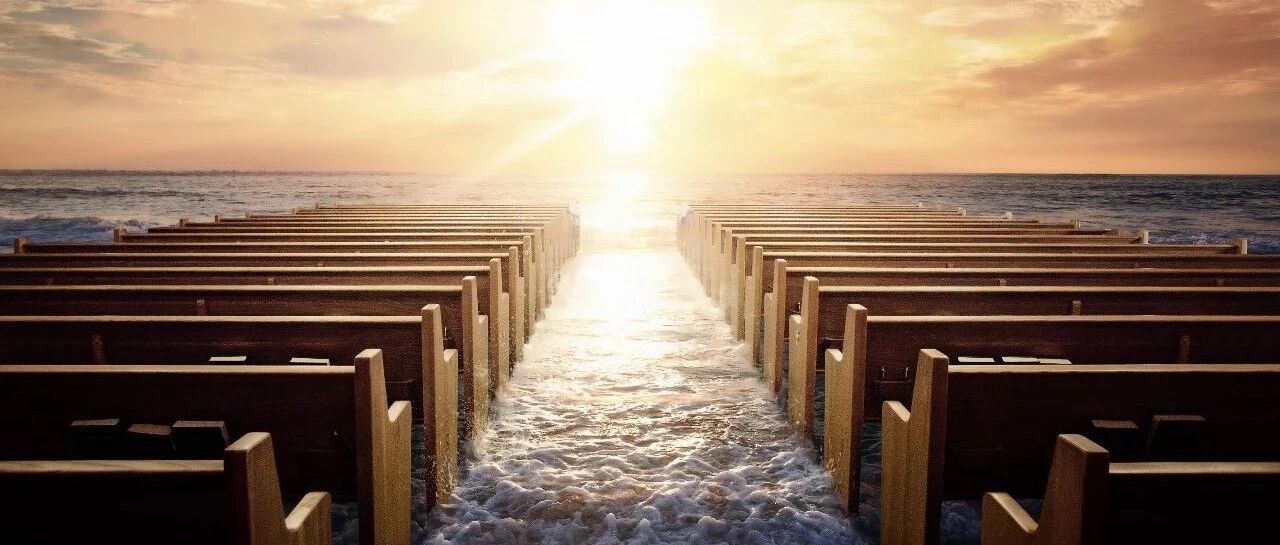 得DAO高僧之： Niran Babalola圖片