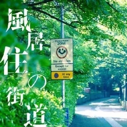 卡林巴演奏《 风居住的街道》| 几许情深,几许惆怅,不思量,自难忘.