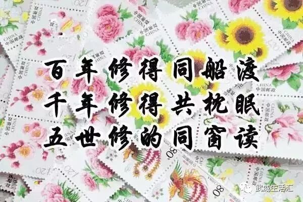 送给我的老同学,老同学你还好吗?今天我想你了!