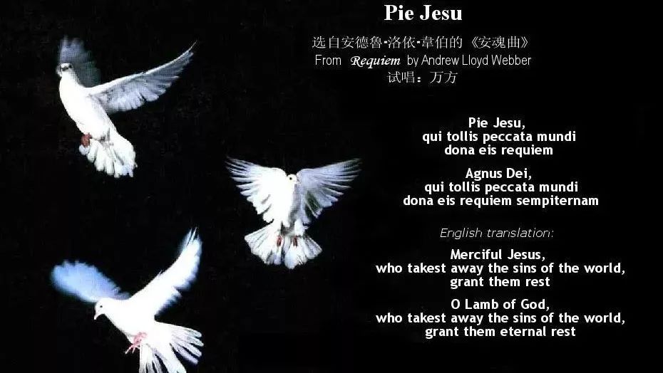 哈利路亚|《Pie Jesu》(仁慈耶稣)