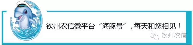 一位行长把放贷、风控经验整理成了段子（赶紧收藏吧！）