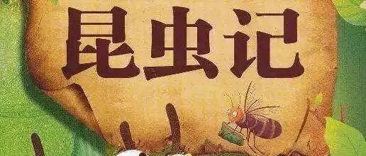 【青春语文  时慧慧专栏】热爱着你的热爱——《昆虫记》梳理课教学设计