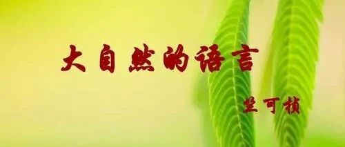 【青春语文   时慧慧专栏】时慧慧课后反思：遗憾也是一种美——《用心倾听，感知自然的魅力——〈大自然的语言〉》公开课自评
