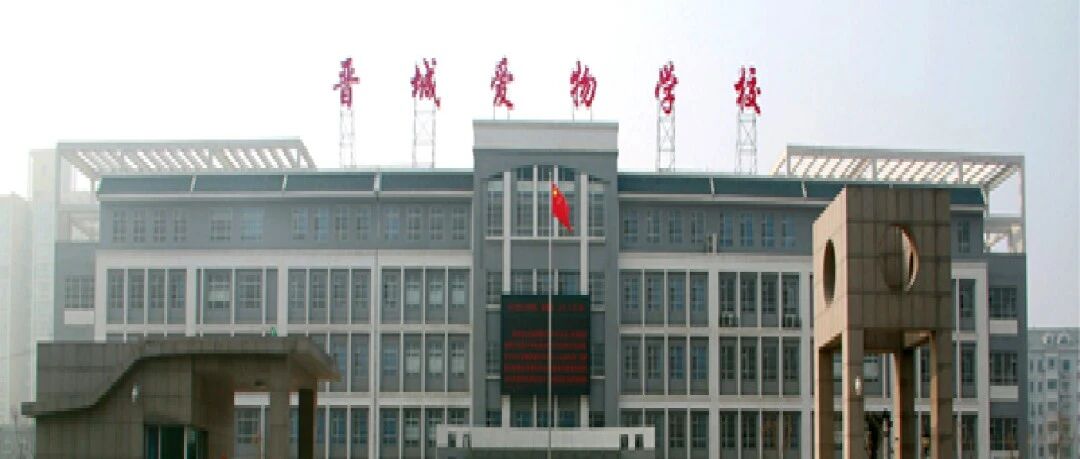【青春语文  时慧慧专栏】用心用爱，一路修行做班主任