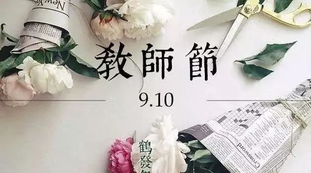 又一年康乃馨绽放‖教师节特别篇