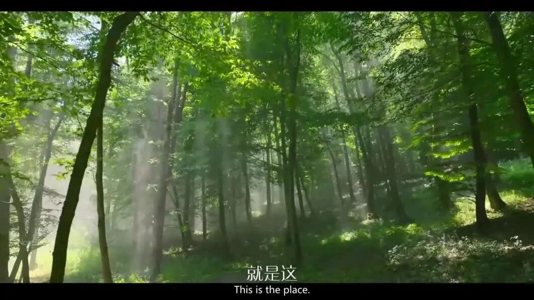 光环第一季第03集