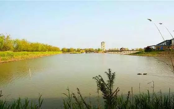 ayx爱游戏:扬州特色小镇⑰界首镇 ：大运河畔一颗耀眼的明珠　界首茶干驰名中外