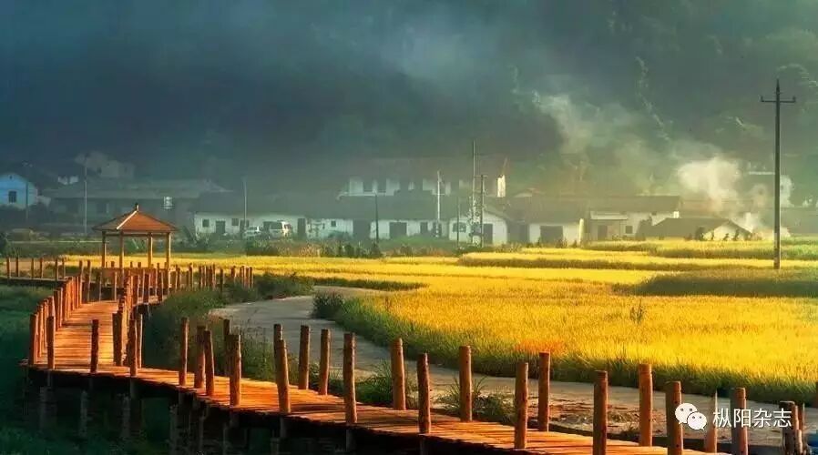 【智库】白柳镇发展战略的研究报告