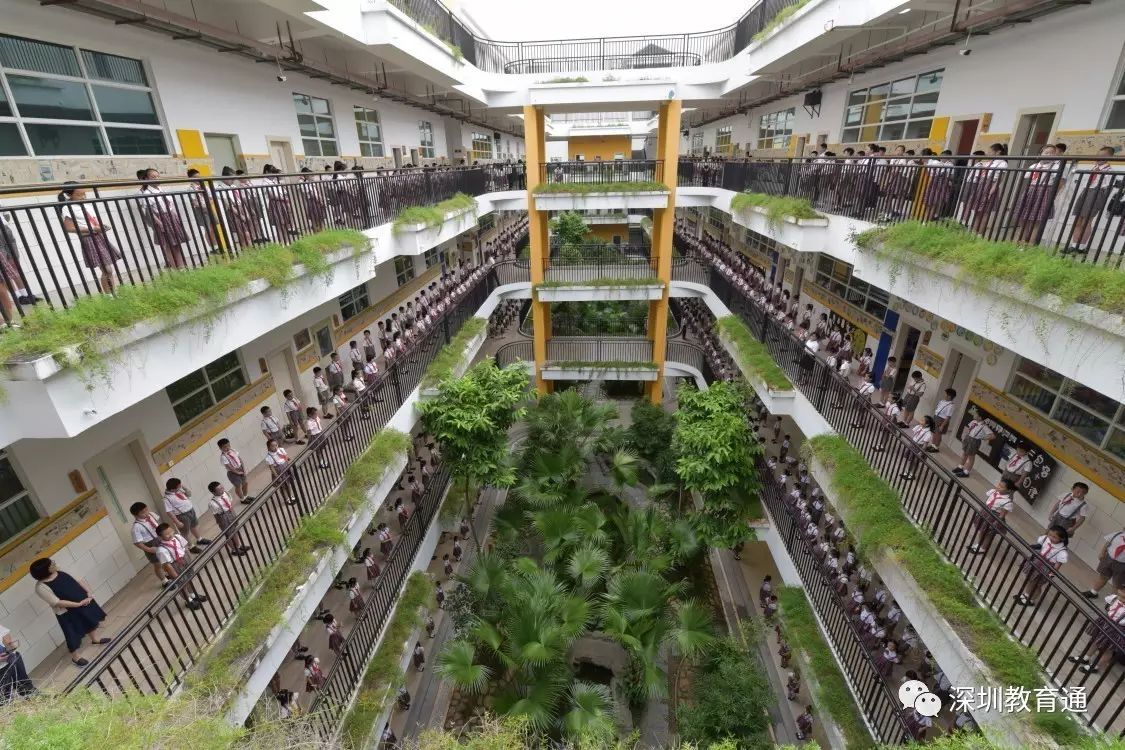 小学探宝,学校v小学……深圳校园开学第一课花样百出丁锦昊星球图片