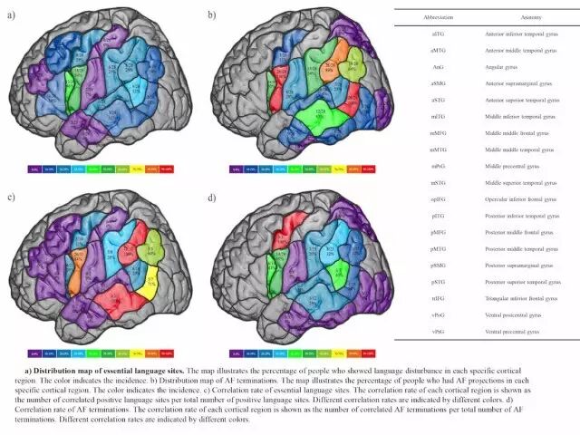 [专访]天医总院杨学军: <wbr>率先应用经颅磁刺激技术 <wbr>胶质母细胞瘤影像学全切除率95%以上 <wbr>科