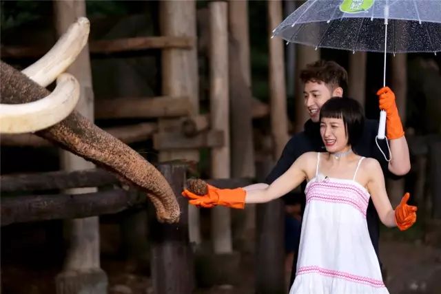 《我們相愛吧3》收官，原來無尾熊CP定情的泰國小城，還藏著一座適合情侶蜜月的小瑞士 戲劇 第7張