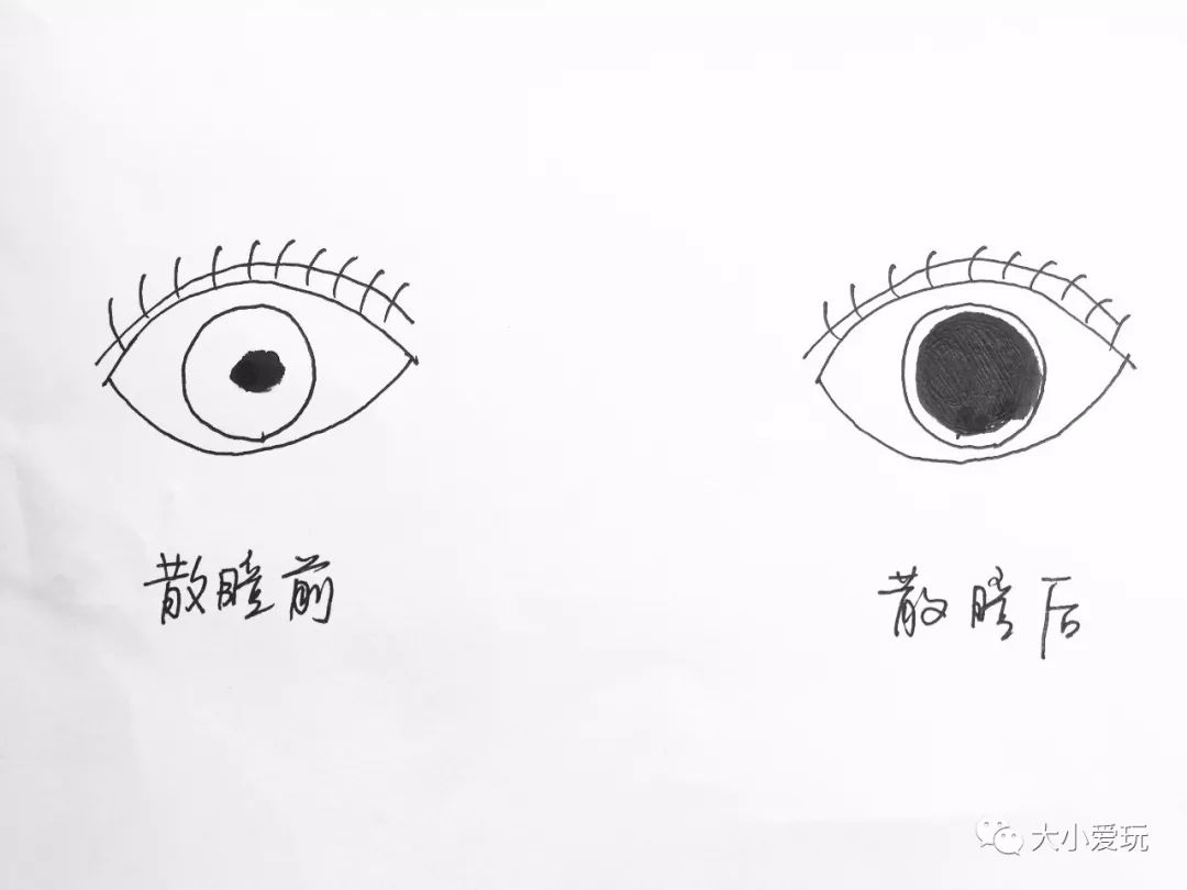 △一个粗暴的散瞳示意图.