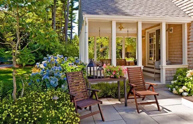 落叶常绿比_乐昌含笑是常绿还是落叶_含笑是落叶还是常绿