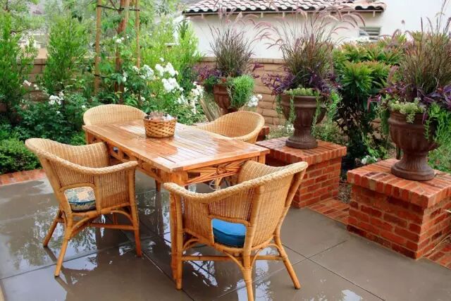 含笑是落叶还是常绿_落叶常绿比_乐昌含笑是常绿还是落叶