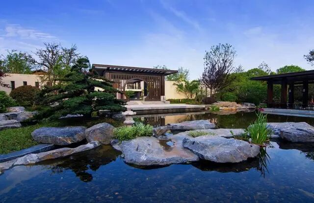 乐昌含笑是常绿还是落叶_含笑是落叶还是常绿_落叶常绿比