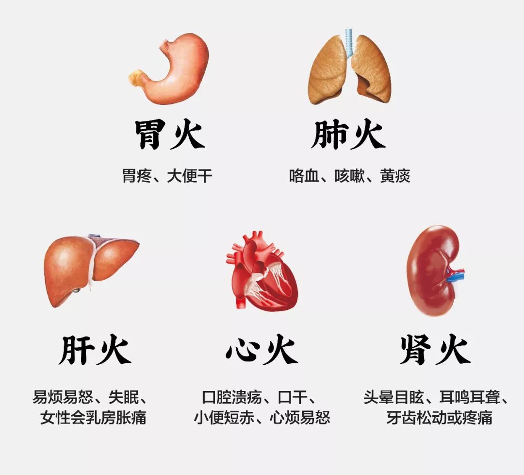 "火"又有胃火,肺火,肝火,心火,肾火之分