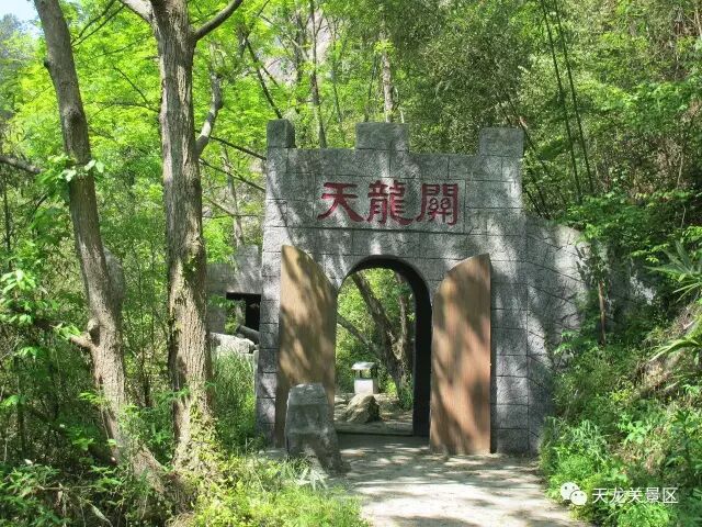 惊喜！惊喜！惊喜！潜山县天龙关景区首届七彩风车展震撼来袭！(图25)