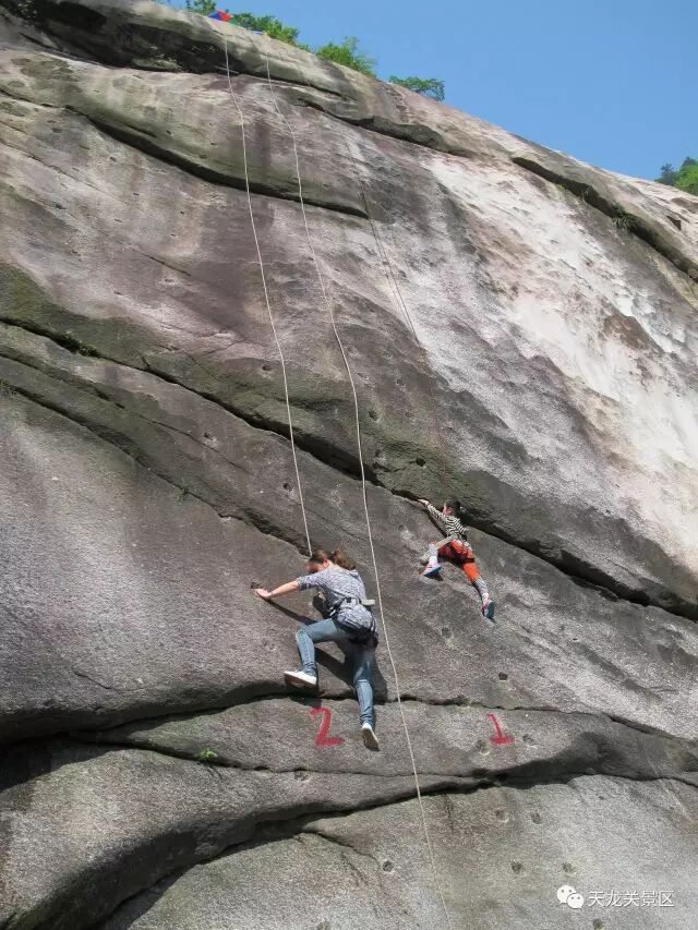 惊喜！惊喜！惊喜！潜山县天龙关景区首届七彩风车展震撼来袭！(图28)
