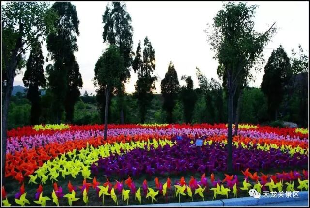 惊喜！惊喜！惊喜！潜山县天龙关景区首届七彩风车展震撼来袭！(图5)