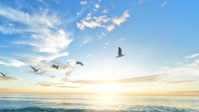 收录于合集⭐梦之旅组合《浪花里飞出欢乐的歌》，唤醒美好心情！