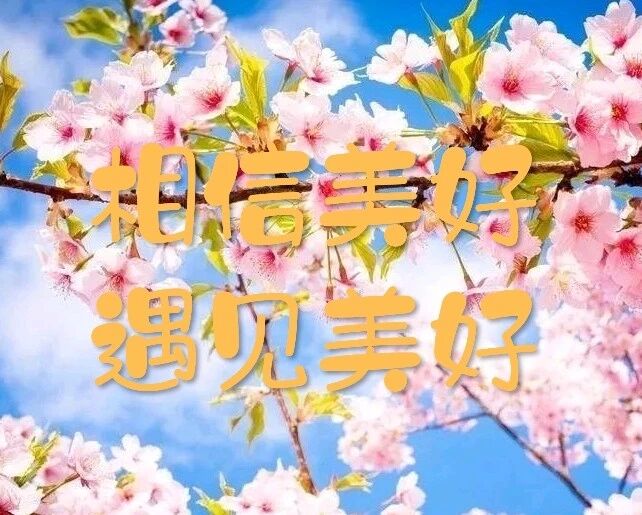 相信美好，遇见美好！每一天都是闪亮的日子！