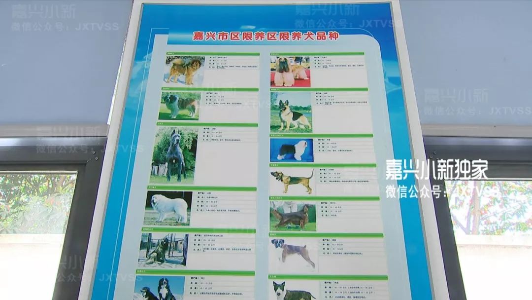 嘉兴市综合行政执法局 犬管办 孙副主任:接下来对一些无证养犬,一户
