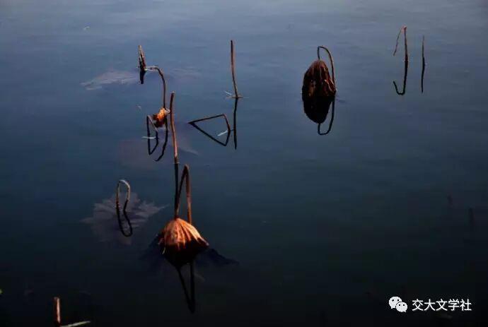 普通人為什麽寫博客