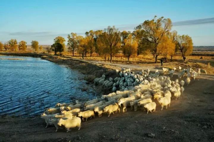 【中国华莱士蜜瓜之乡】内蒙古磴口县这些风景如画的地方,用实力告诉