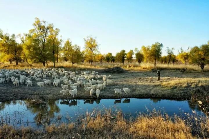 【中国华莱士蜜瓜之乡】内蒙古磴口县这些风景如画的地方,用实力告诉