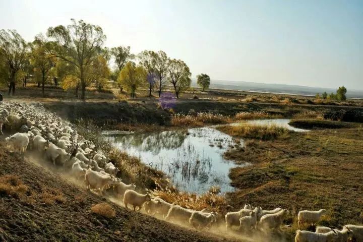 【中国华莱士蜜瓜之乡】内蒙古磴口县这些风景如画的地方,用实力告诉