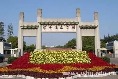 国立嘉义大学_阿穆尔共青城国立技术大学_国立武汉大学