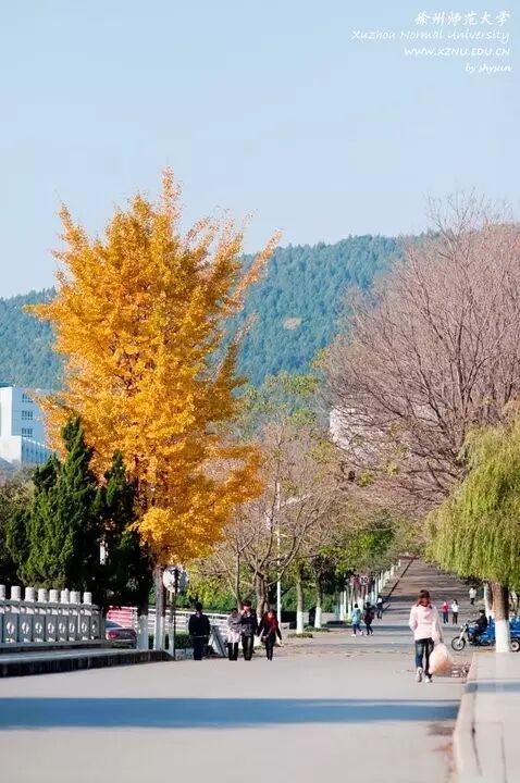 六十五年影像重现，看哭数十万师大学子