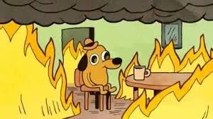 Image 3: This is fine dog sitting in a burning room