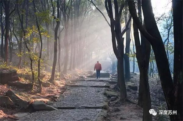 除了園林，來蘇州一定要去的15個打卡地！ 旅遊 第27張