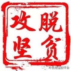 【驻村工作】河南叶县驻村书记张晓龙:把经济搞上去让村民早日富起来