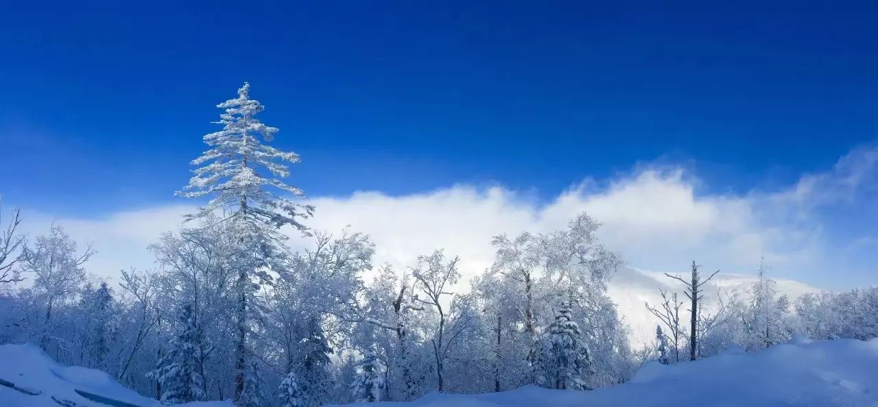 22东北哈尔滨,雪乡,牧雪山村,长白山,雾凇岛,万科滑雪,在寒冷的冰雪