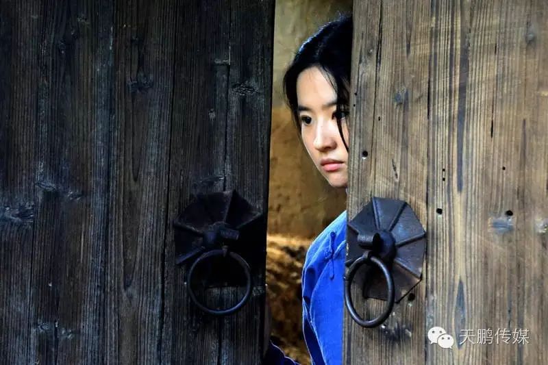 《营救飞虎队》刘亦菲搭档小莱昂纳多首演农村妇女