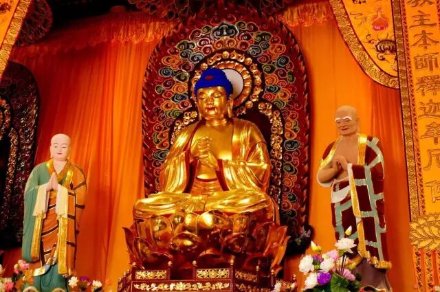 【净土法门】堕胎的恶报和怀孕为子修福!