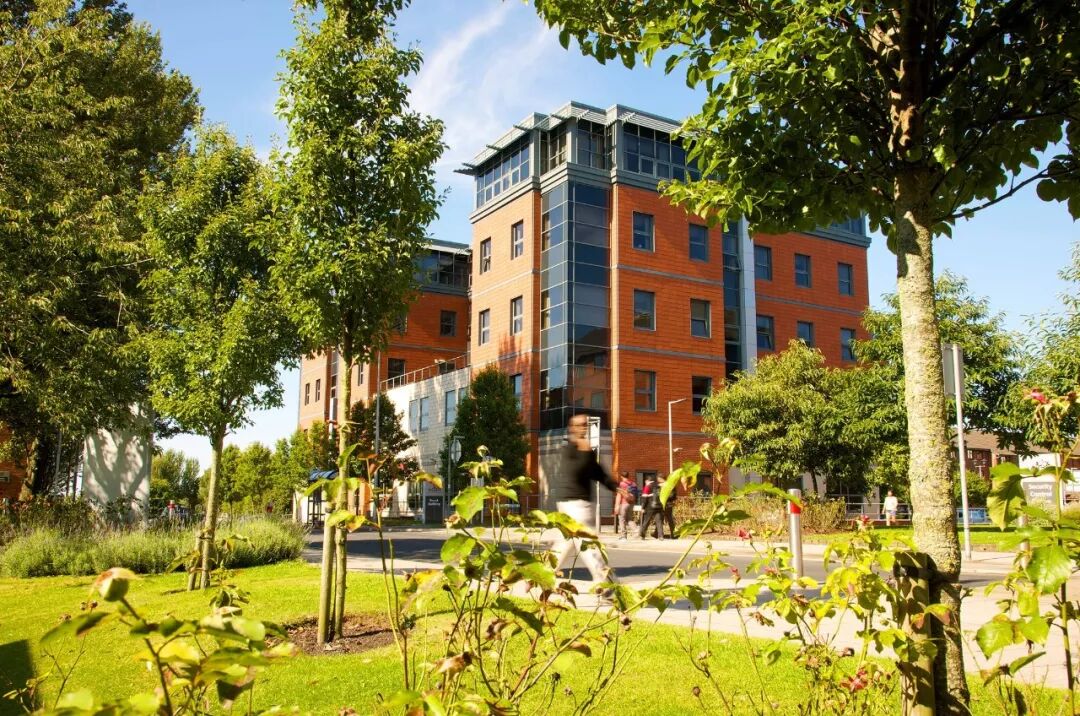 中文大学_桑德兰大学中文网_卢煜明 香港中文大学