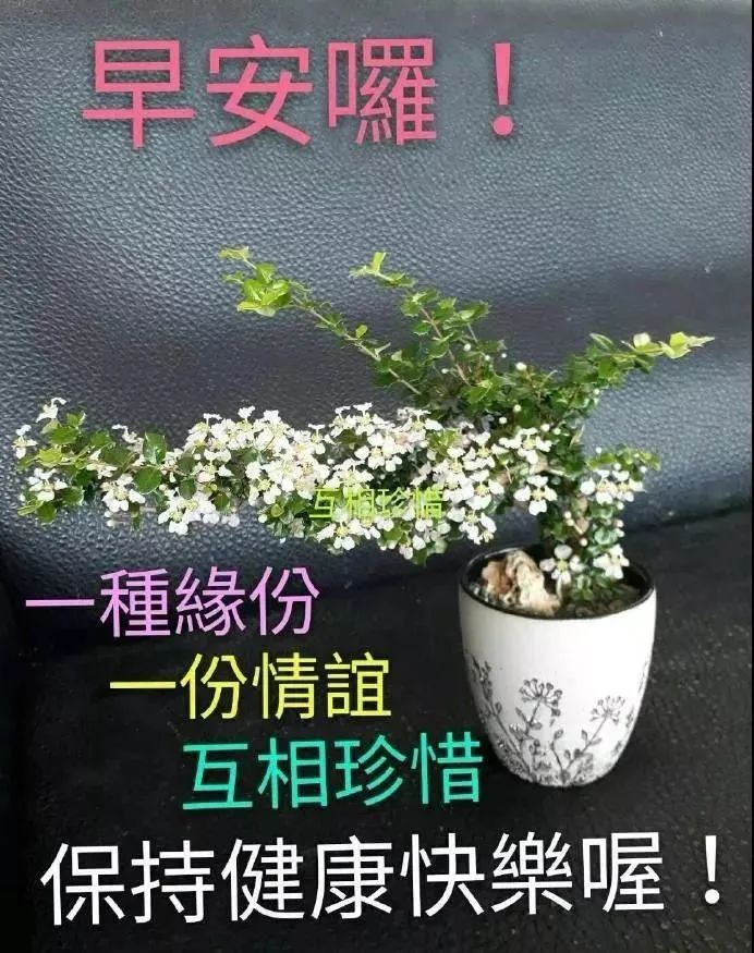 早上好朋友非常有创意好看的早安早上好图片带祝福语漂亮早上好祝福语