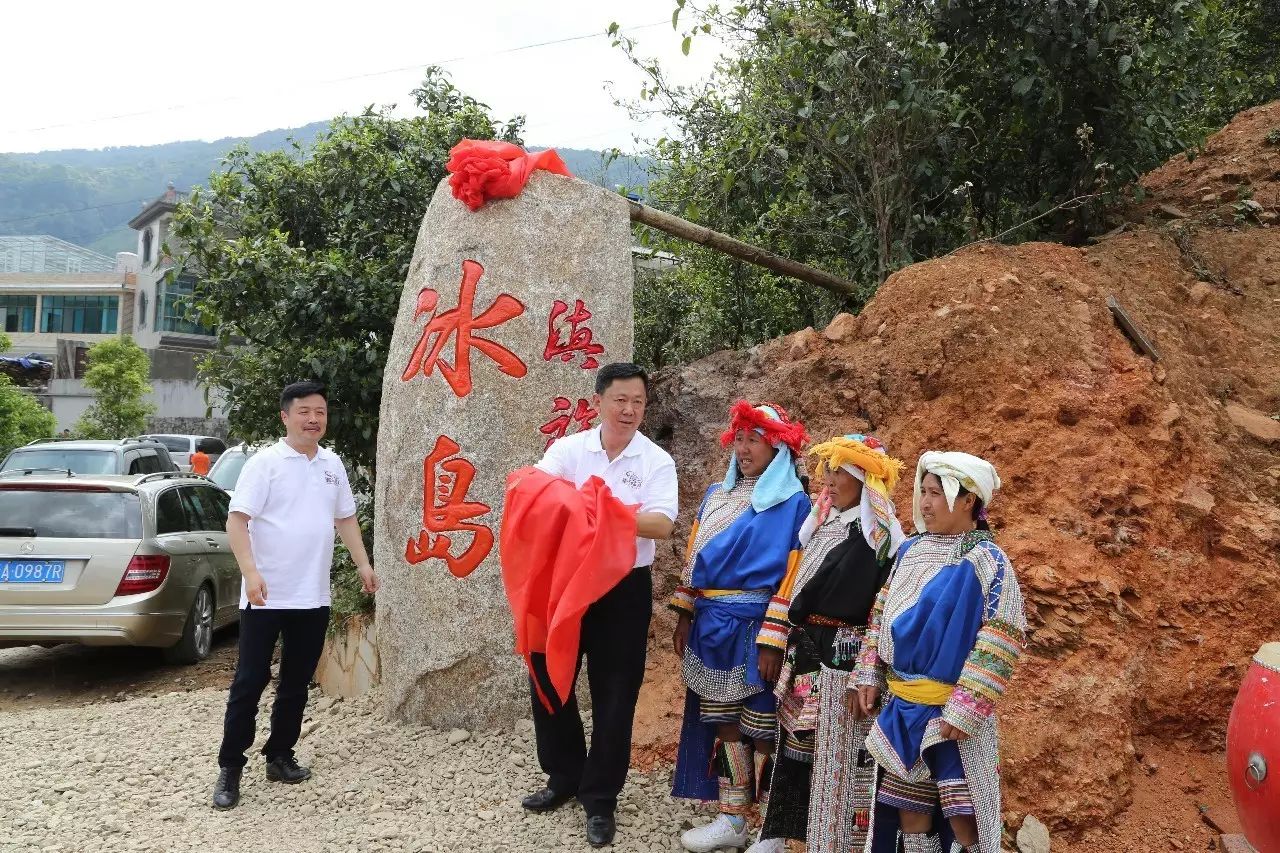 种植范围主要是在临沧市双江县勐库镇大雪山中下部的冰岛村(冰岛正山
