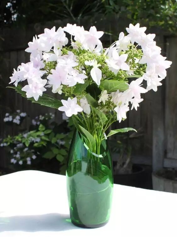 巴黎水青柠味和柠檬味_巴黎水算不算碳酸饮料_巴黎水