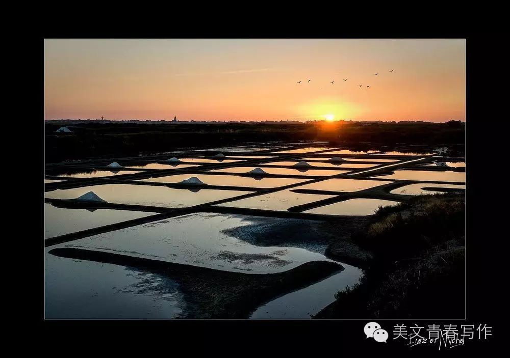 美文话题  每个人心里都住着两只狼