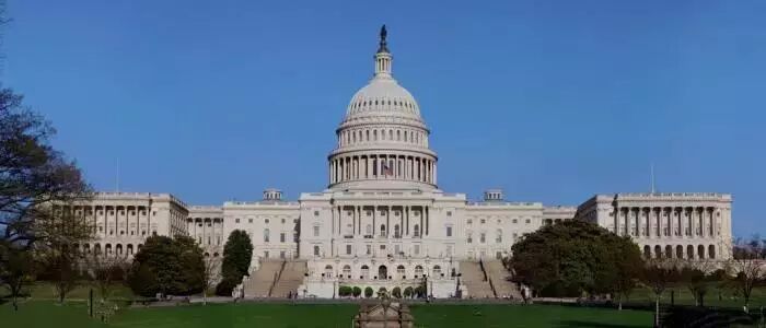 一个垃圾婆与市长的战争