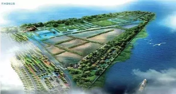 金湾西湖东咀湿地公园 斗门竹洲水松林湿地公园,平沙新城湿地公园