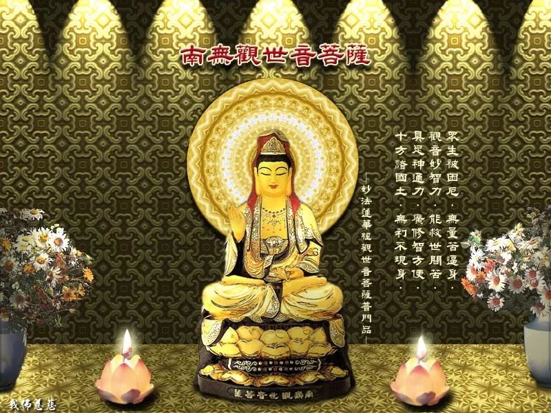 每天如意会选出三位师兄的忏悔文
