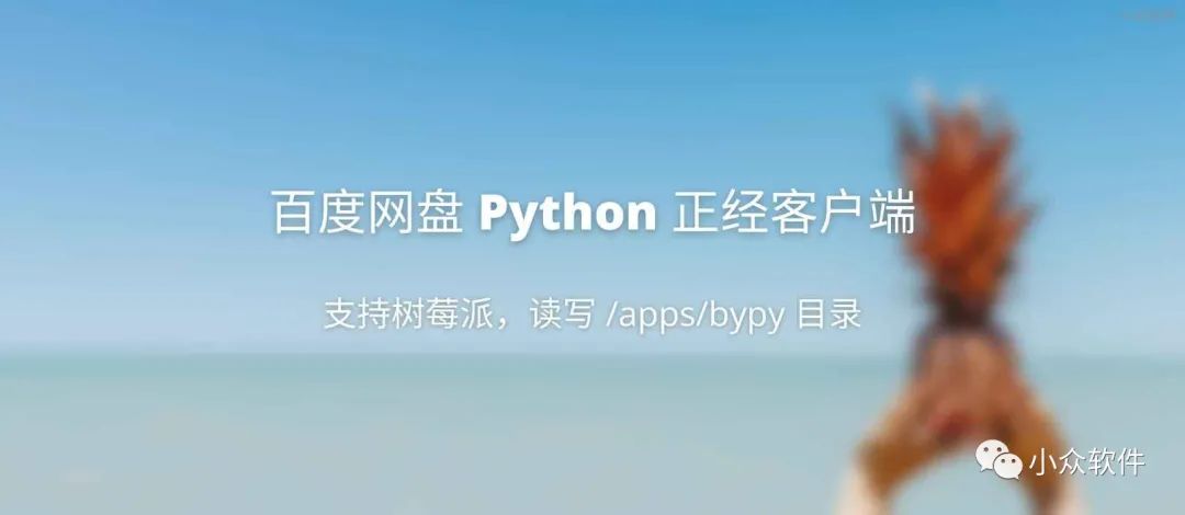 百度网盘 Python 客户端 - 正经客户端,可在树莓派上使用 1