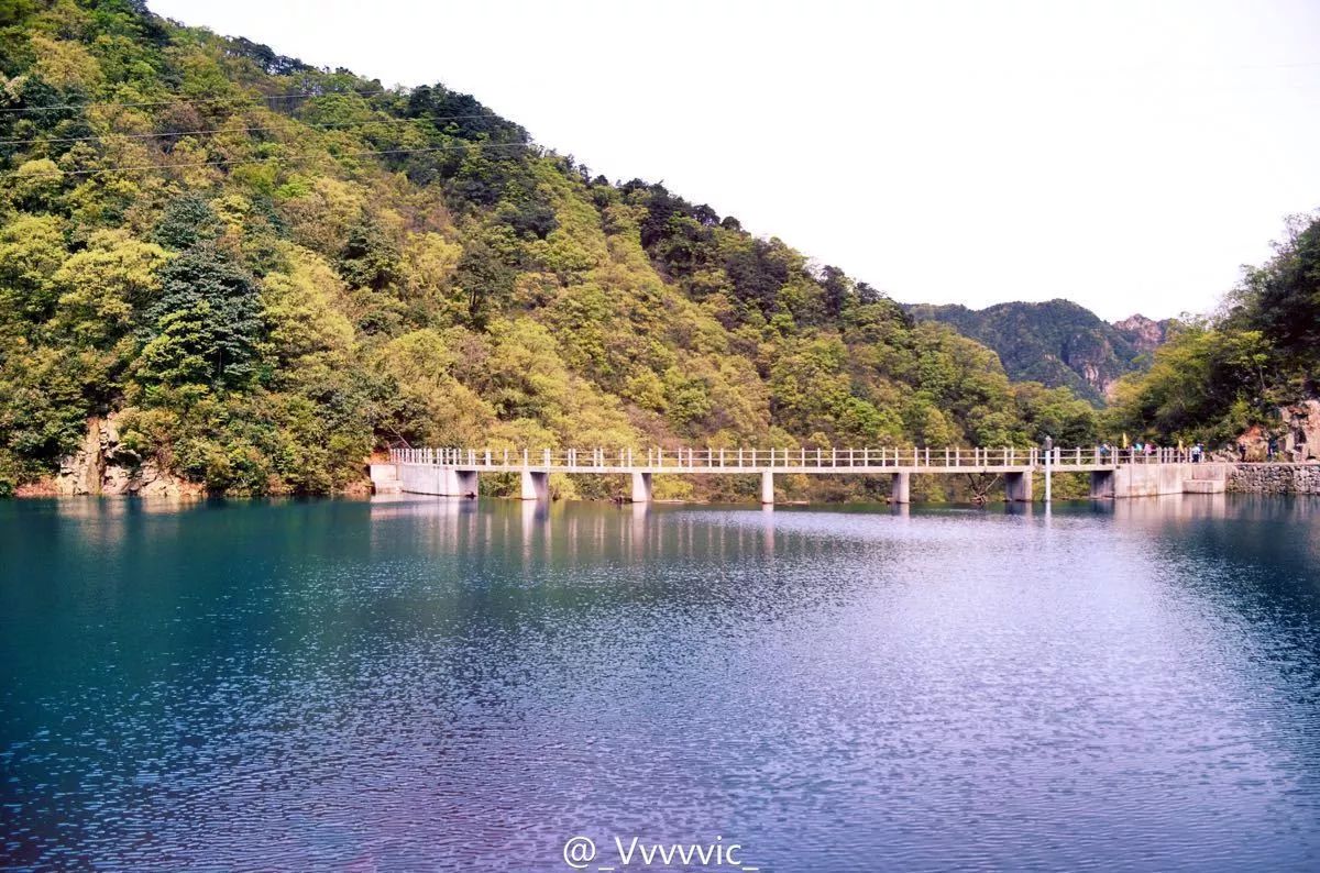 宁波这座最有意境的“森林公园”,如今被人遗忘却依然美不胜收!