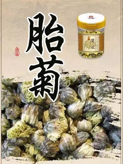 胎菊跟贡菊的功效_贡菊和胎菊的功效与作用_胎菊和菊花的功效区别