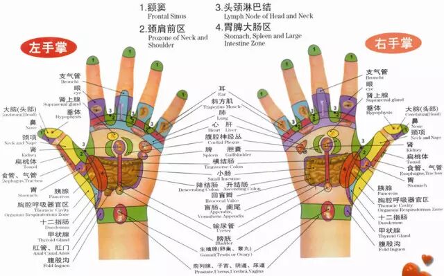 双手这样拍拍，调节你的五脏六腑，很有用